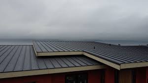 Best Rubber Roofing (EPDM, TPO)  in Fox Chase, PA